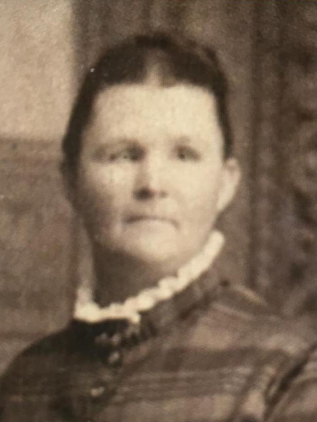 Elzira Corbitt (1855 - 1903) Profile